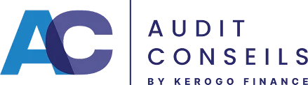 Audit Conseils